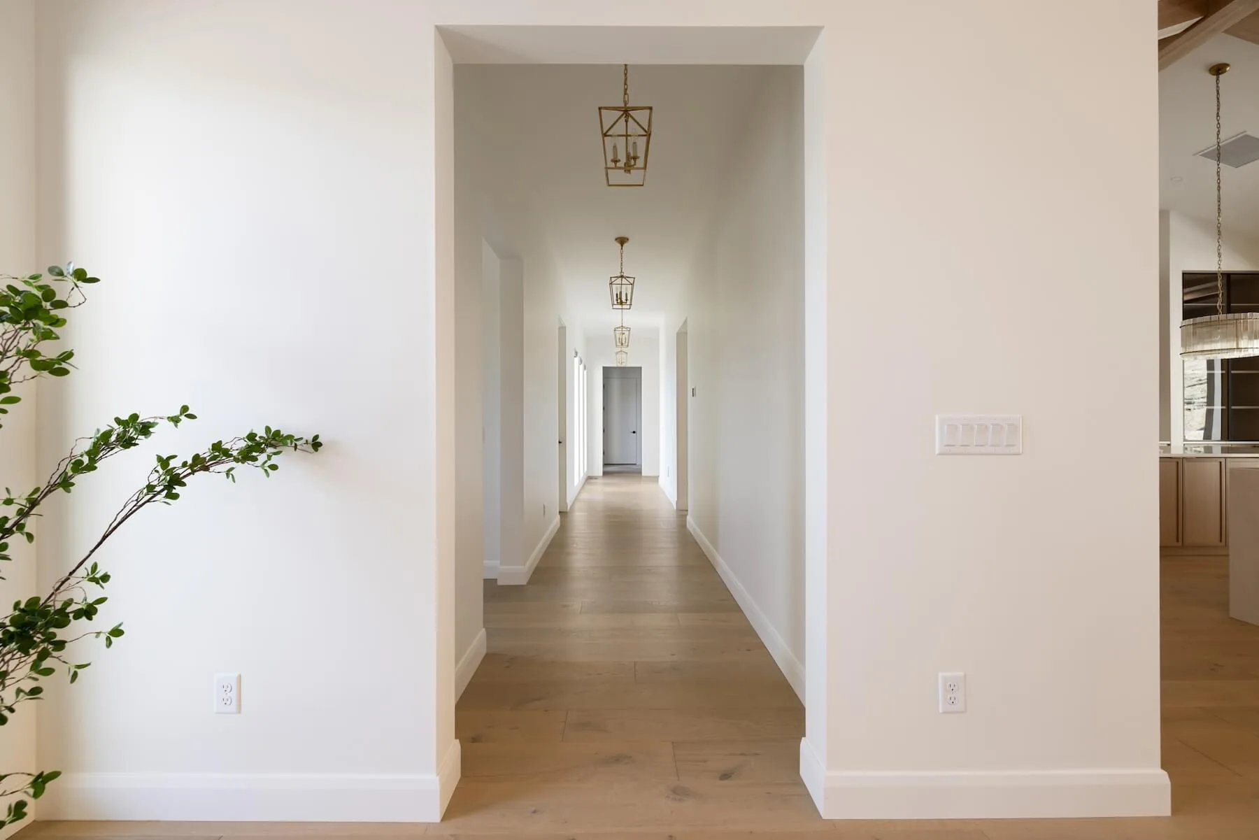 Hallway in Modern Custom Home